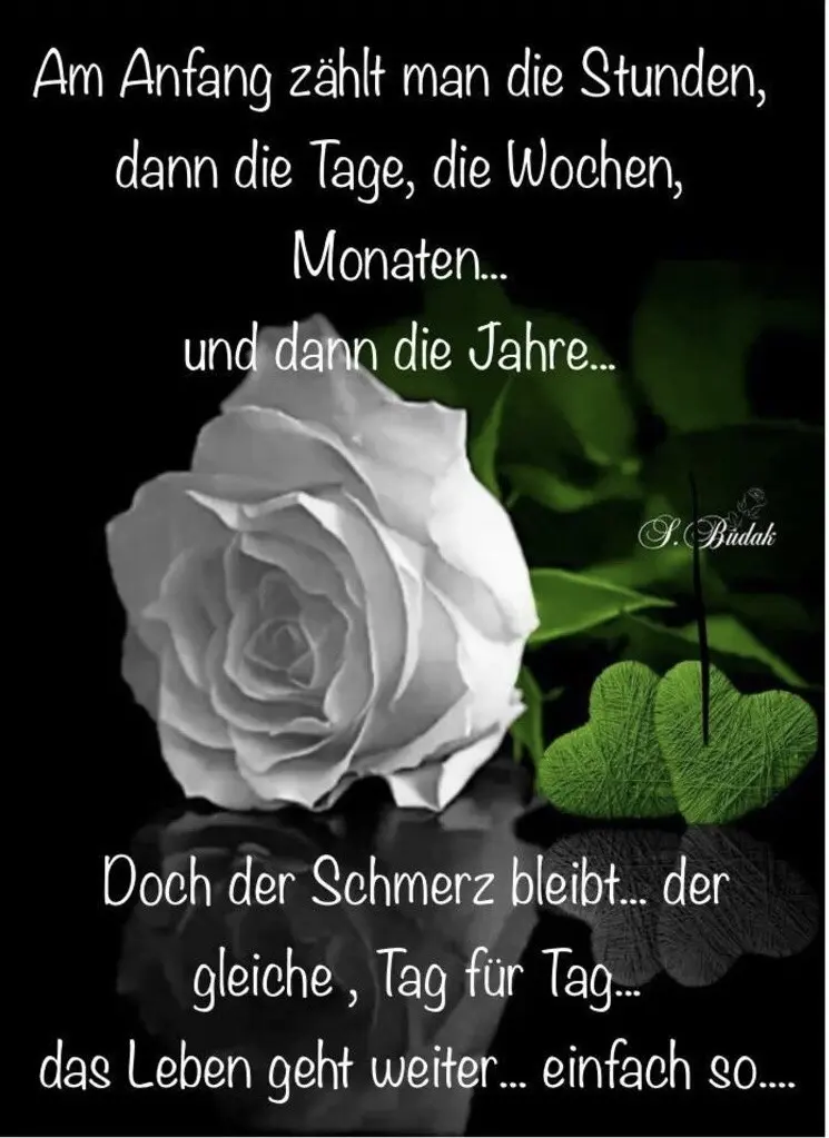 Condolence image of Heide mit Cita im Herzen ❤️