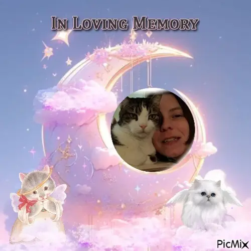 Condolence image of 5.Sternchen❤Gedenktag❤❤❤❤❤