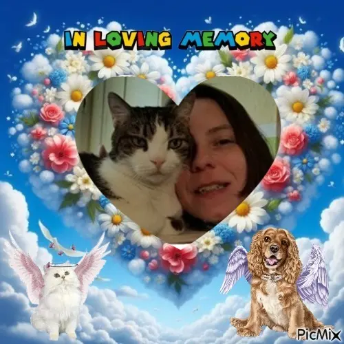 Condolence image of ❤️❤️❤️❤️❤️❤️❤️❤️❤️❤️❤️❤️