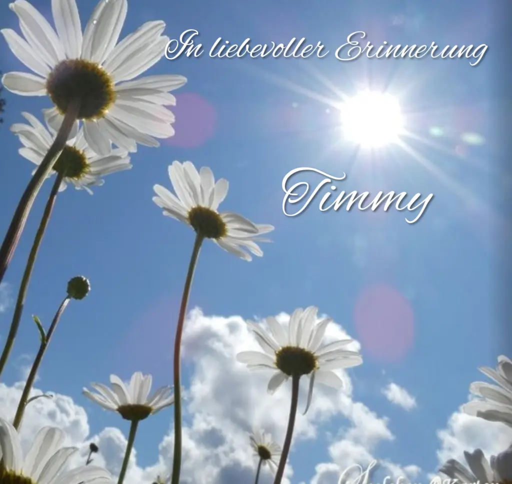 Condolence image of 5 Jahre... Sehnsucht ♥️