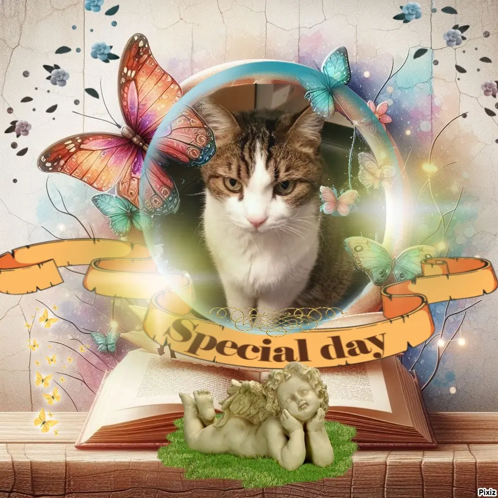 Condolence image of Sternchenpost ⭐