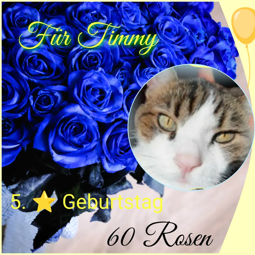 Condolence image of Corinna mit Emma, Jengi, Pummelchen und anderen Sternleine im Herzen