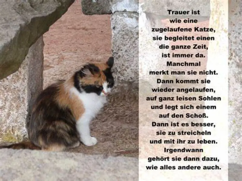 Condolence image of Annemarie und Elke mit Snoopy im Herzen gest.04.01.2022 und Pünktchen vermisst April 2021