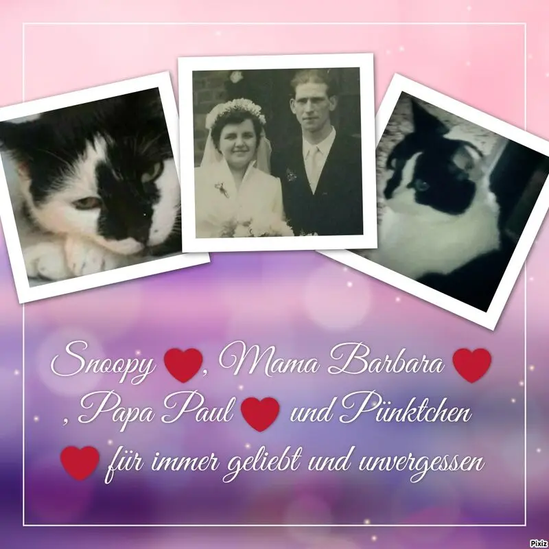 Condolence image of Annemarie und Elke mit Snoopy im Herzen gest.04.01.2022 und Pünktchen vermisst April 2021