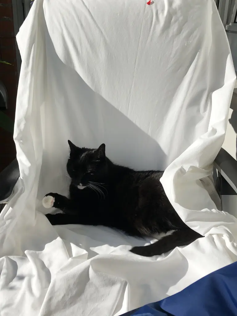 Condolence image of Heide mit Cita im Herzen❤️