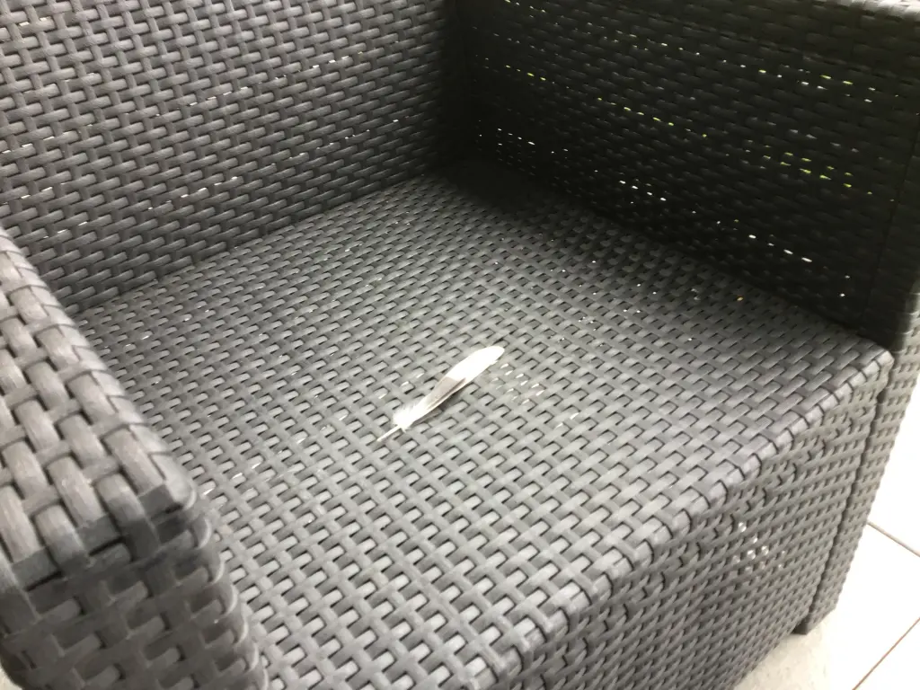 Condolence image of Angelika mit Luna ❤️