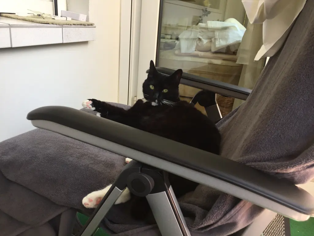 Condolence image of Heide mit Cita im Herzen❤️