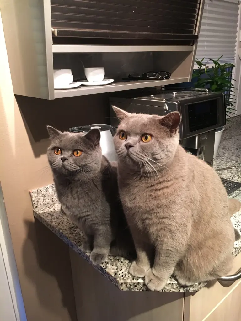 Condolence image of An Timmy und Tanja