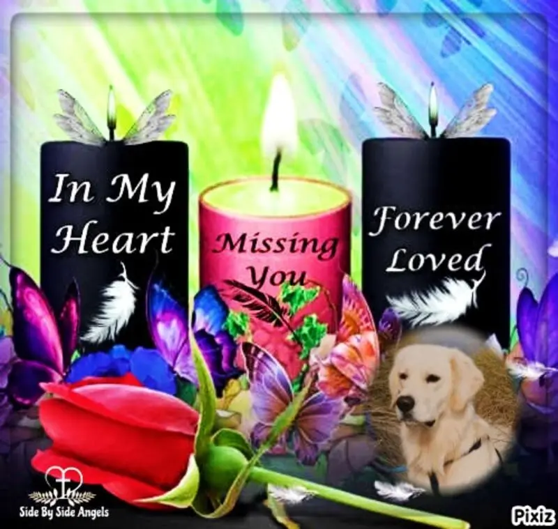 Condolence image of Claudia mit ASKO❤️ 