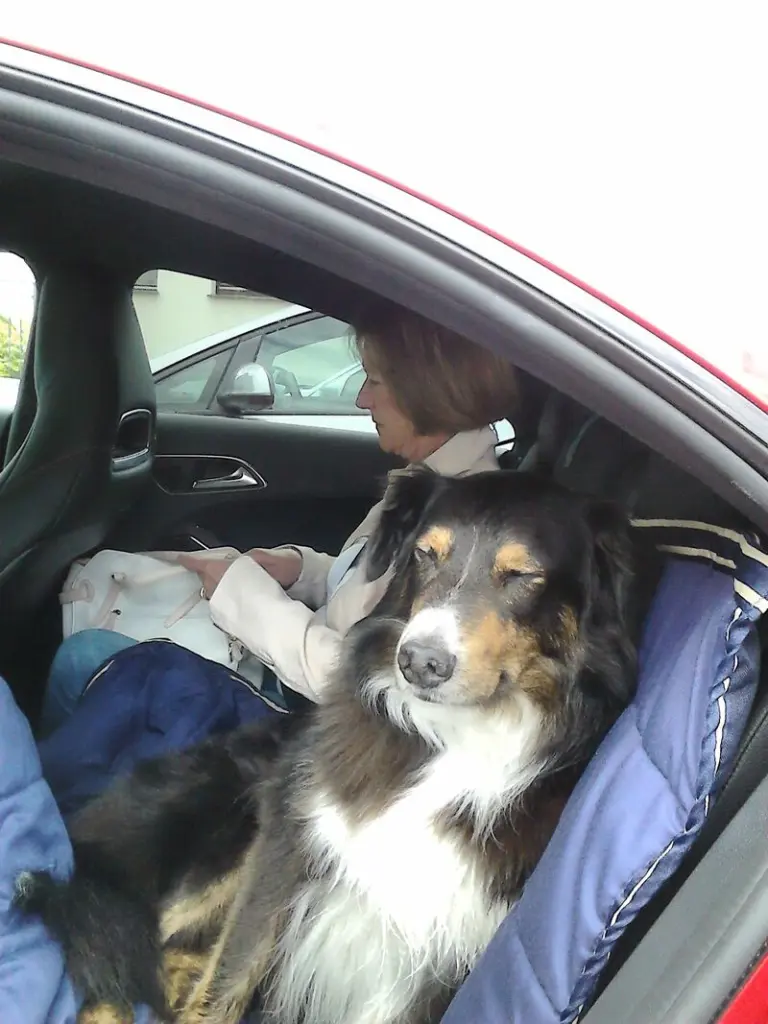 Condolence image of von Bubele