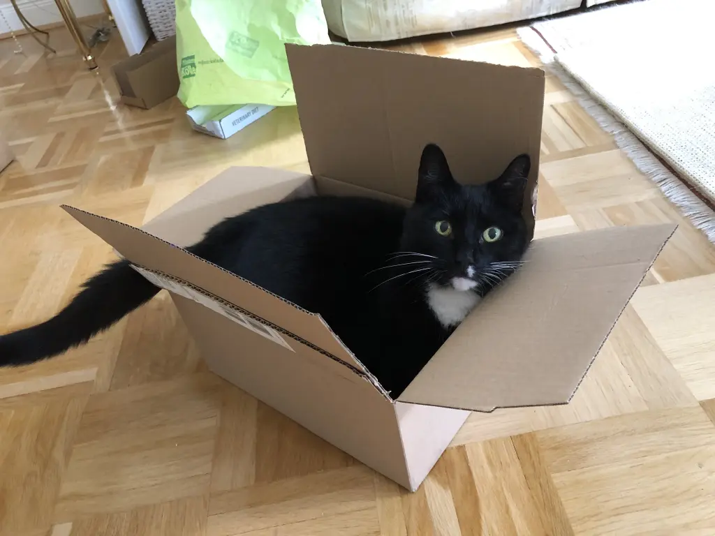 Condolence image of Heide mit Cita im Herzen❤️