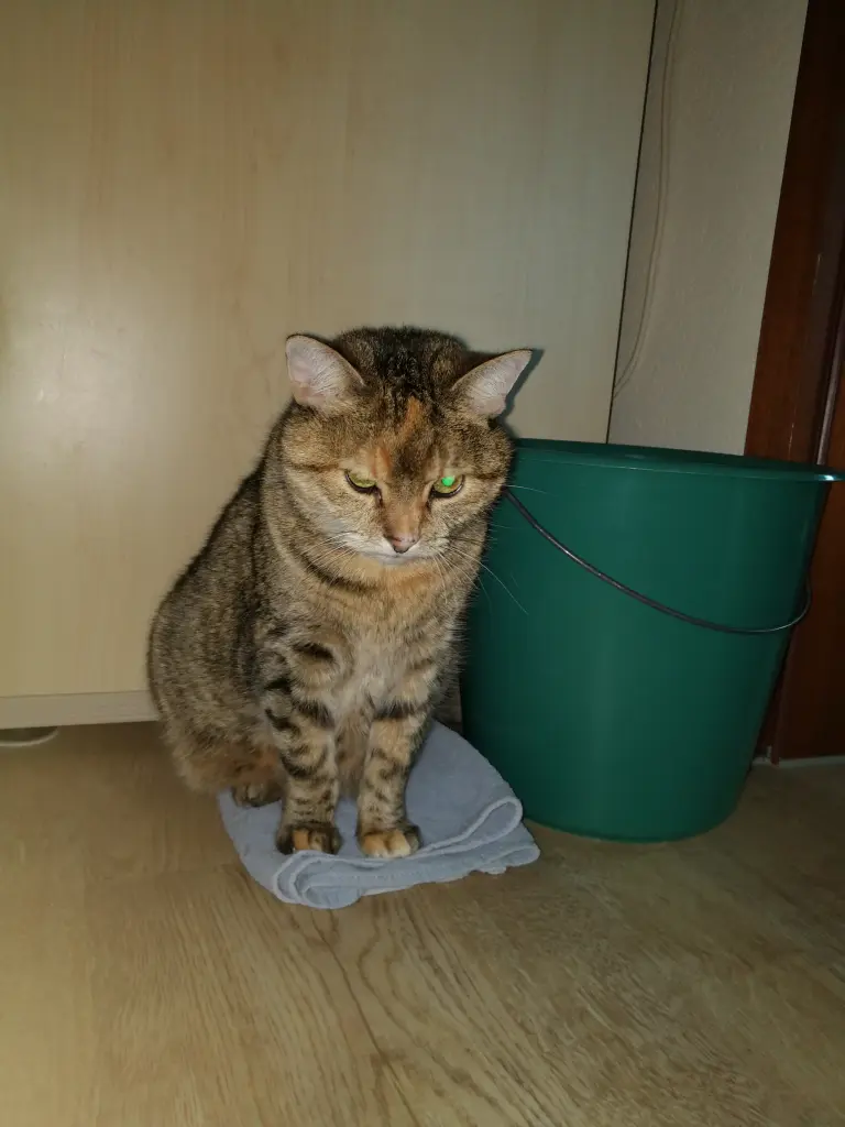 Condolence image of Daniela  mit Pauline im ♥️