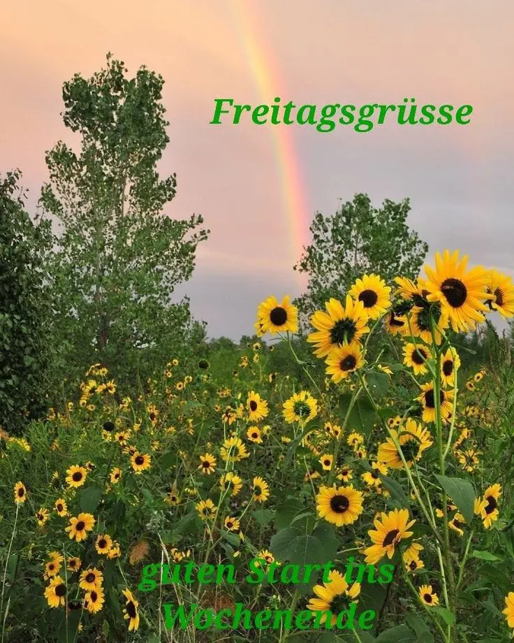 Condolence image of Claudia mit ASKO❤️