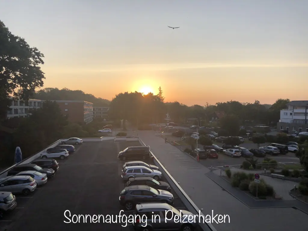 Condolence image of Heide mit Cita im Herzen❤️