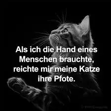 Condolence image of Annemarie und Elke mit Snoopy❤️und Pünktchen ❤️