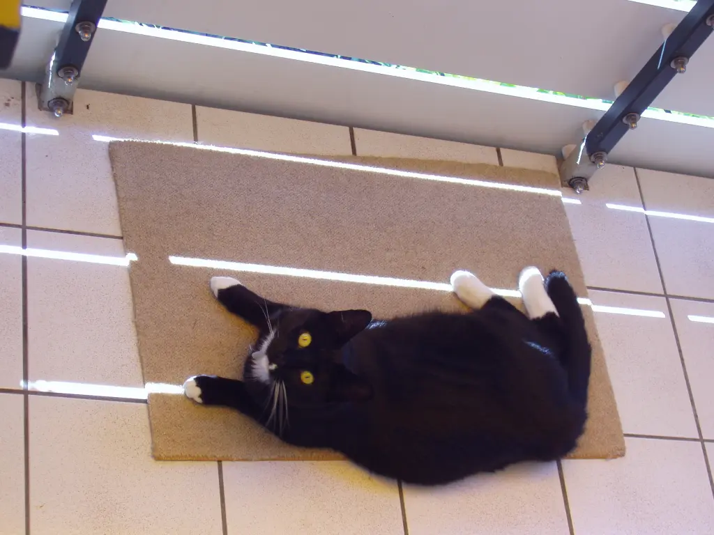 Condolence image of Heide mit Cita im Herzen❤️