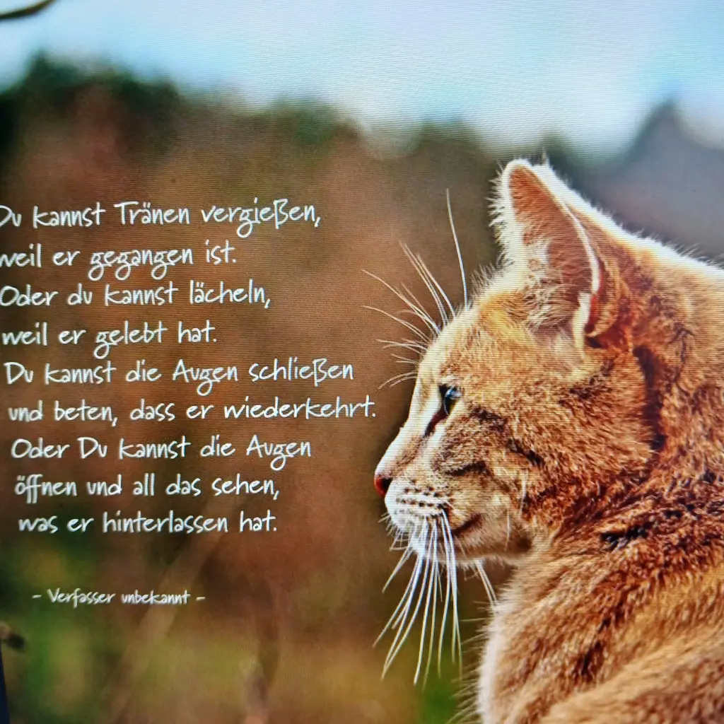 Condolence image of Annemarie und Elke mit Snoopy❤️und Pünktchen ❤️