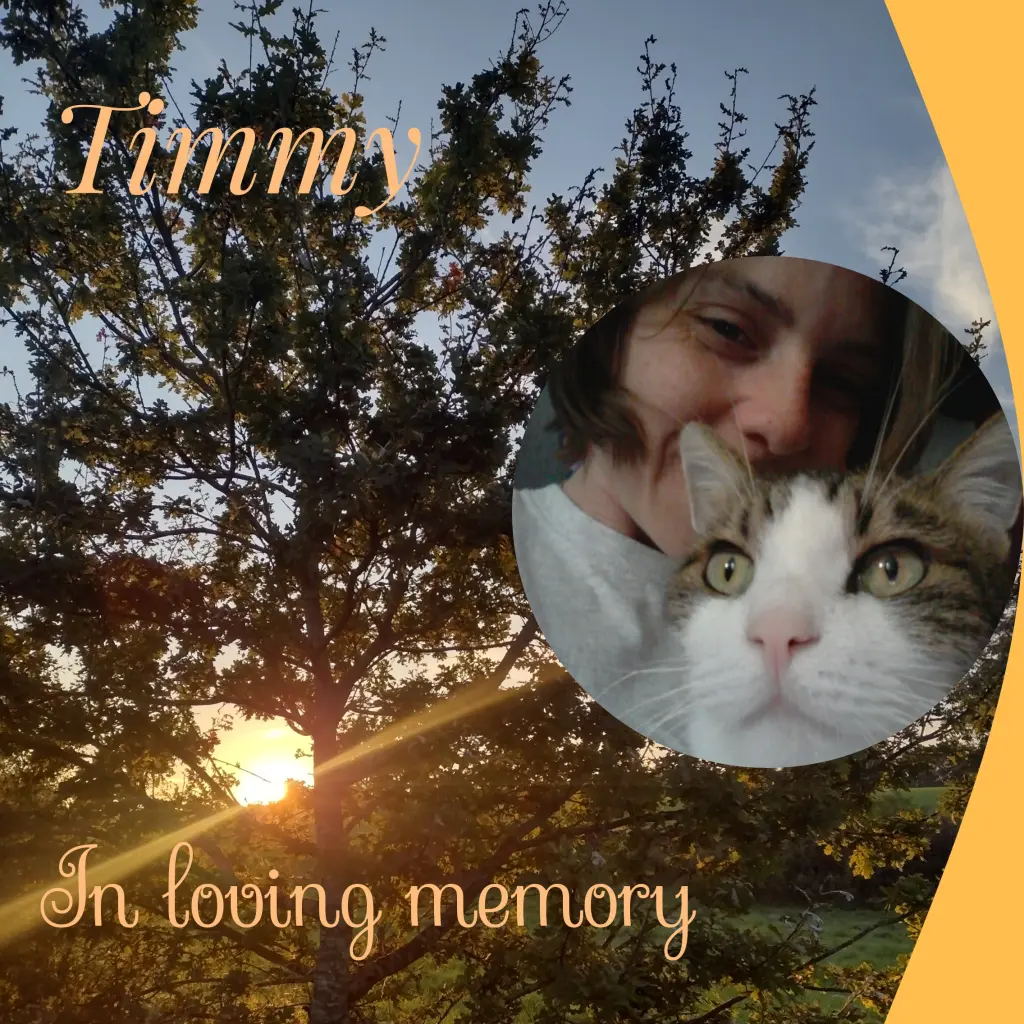 Condolence image of Corinna mit Emma, Vinni-Ved,.Jengi, Blacky, Pummelchen und anderen Sternleine im Herzen