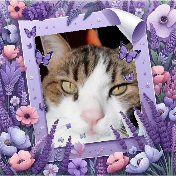 Condolence image of Andrea mit Minki im ♥️