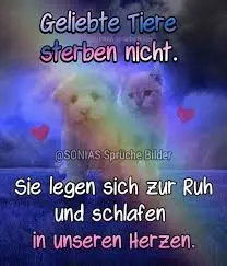 Condolence image of Snoopy und .Pünktchen