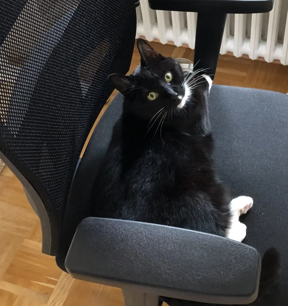 Condolence image of Heide mit Cita im Herzen❤️