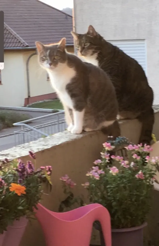 Condolence image of Ute