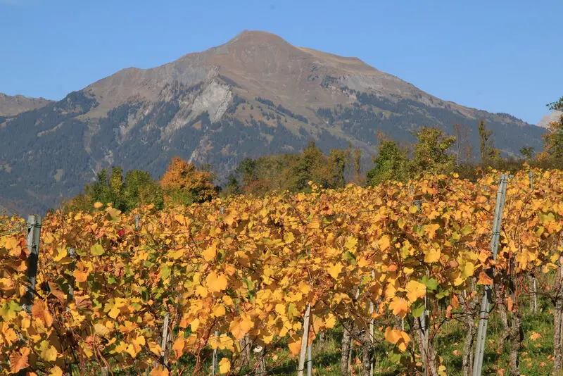 Condolence image of ❤️❤️❤️