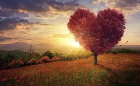 Condolence image of Ute