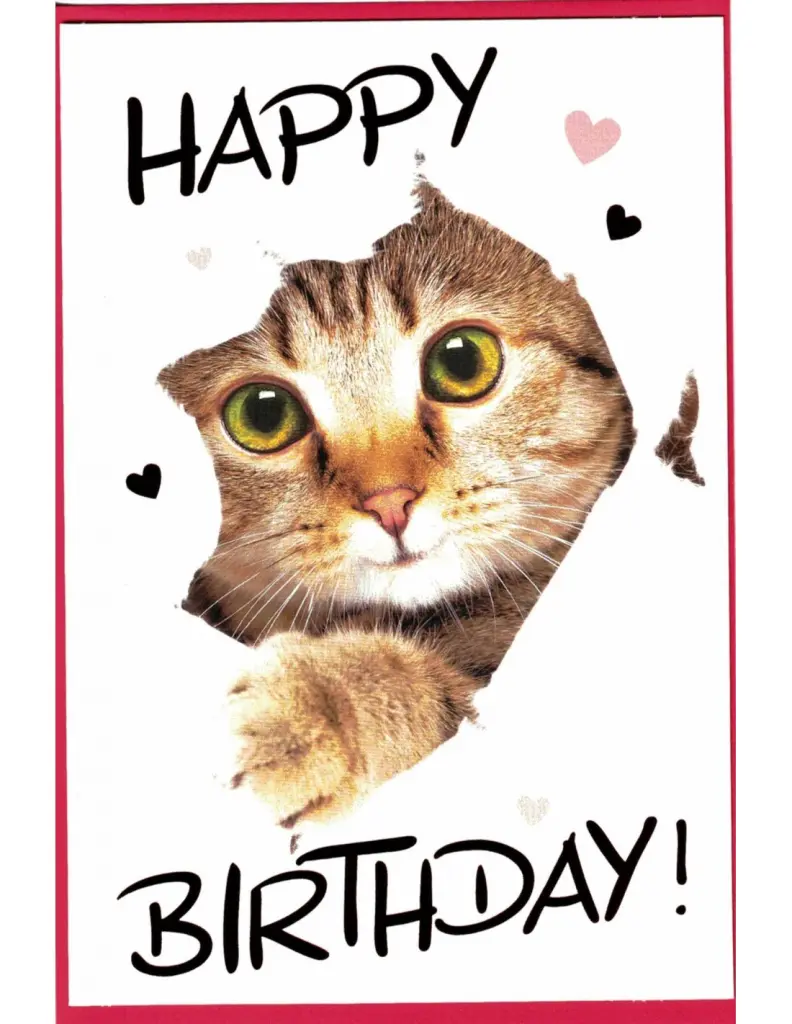 Condolence image of Annemarie und Elke mit Snoopy im Herzen gest.04.01.2022 und Pünktchen vermisst April 2021