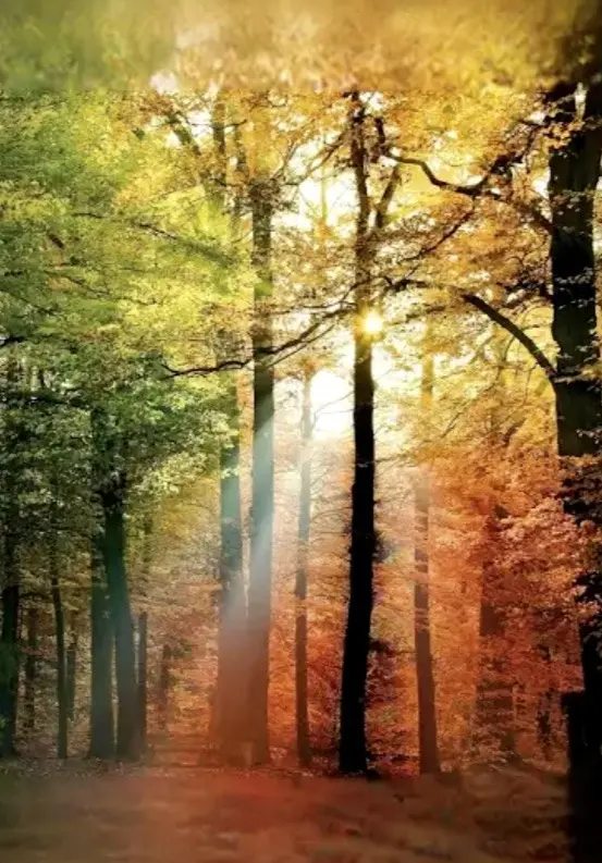 Condolence image of Ute