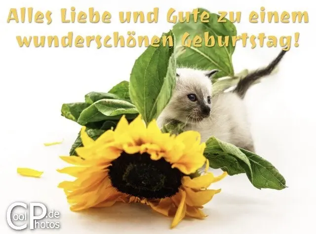 Condolence image of Heide mit Cita im Herzen❤️