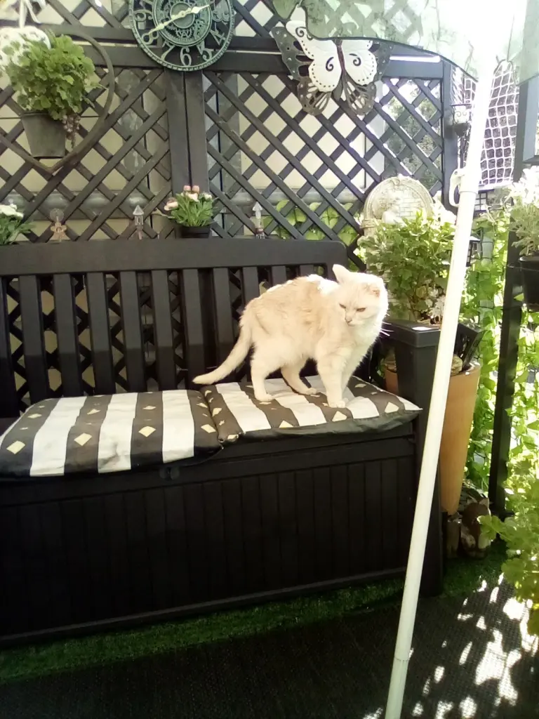 Condolence image of Beate mit Elvis im Herzen ❤