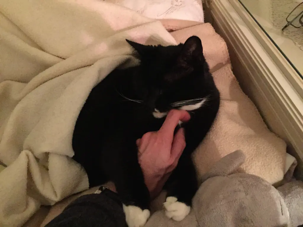 Condolence image of Cita❤️