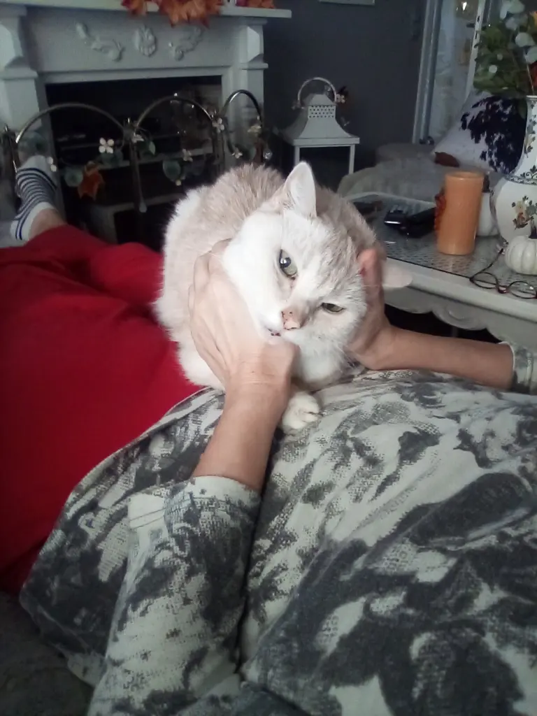 Condolence image of Beate mit Elvis im Herzen ❤