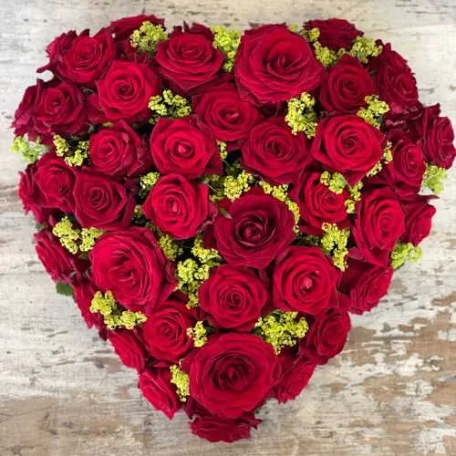 Condolence image of Snoopy und .Pünktchen