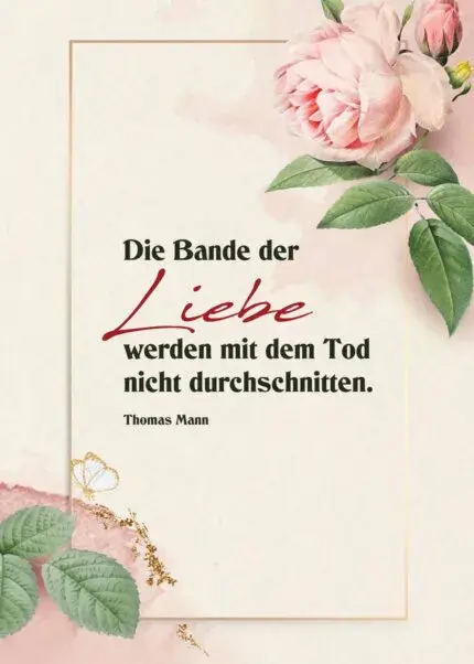 Condolence image of Anja mit Maja & Gräuli & Kalli im ༺❤️༻