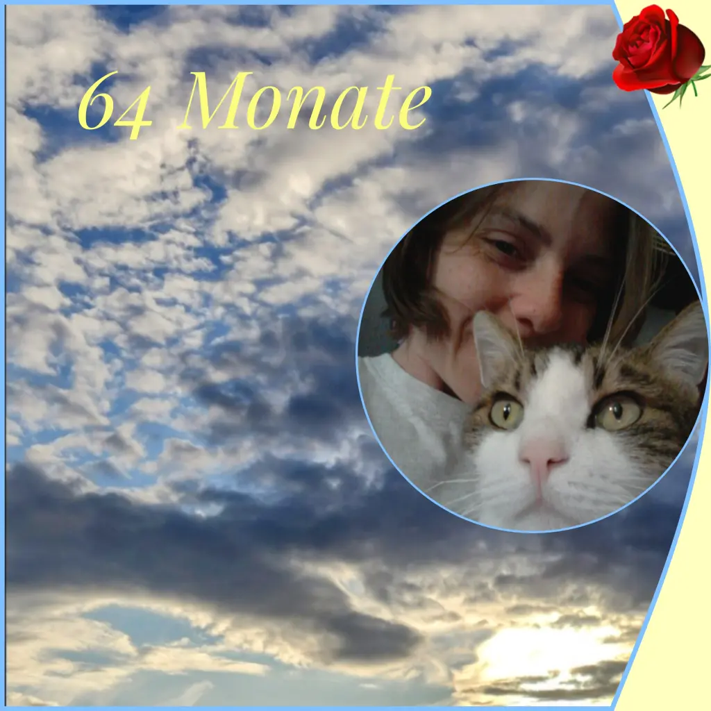 Condolence image of Corinna mit Emma, Vinni-Ved, Jengi, Blacky, Pummelchen und anderen Sternleine im Herzen