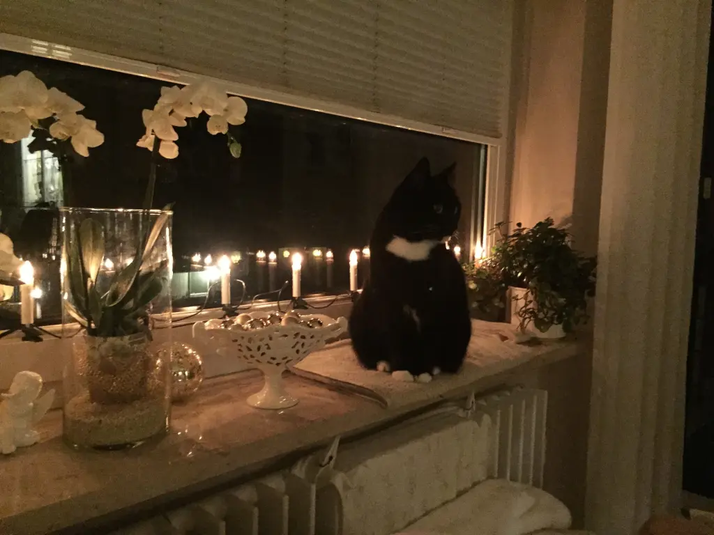 Condolence image of Cita❤️