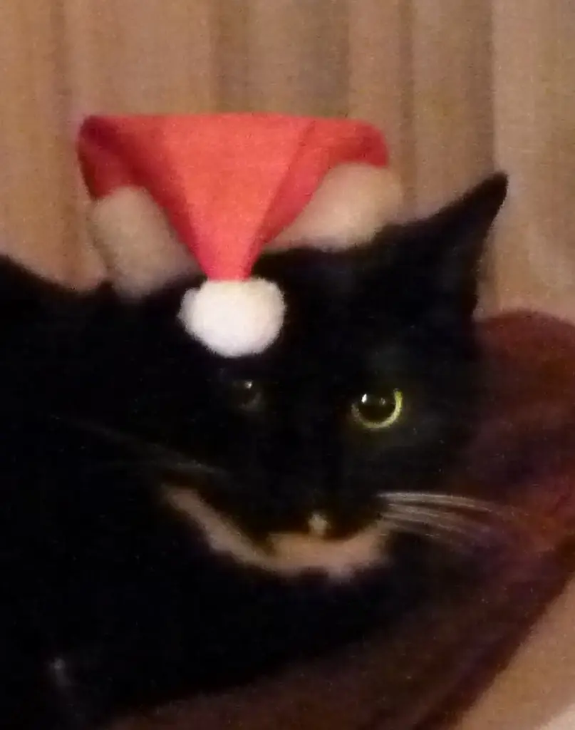 Condolence image of Cita❤️