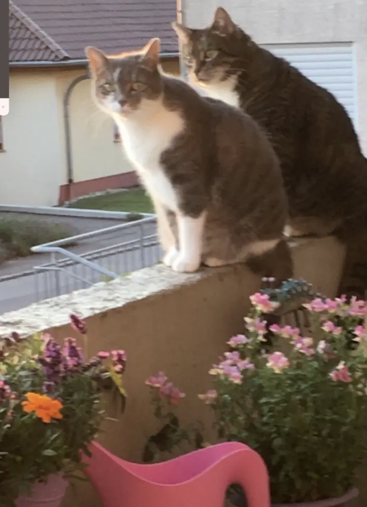 Condolence image of Ute