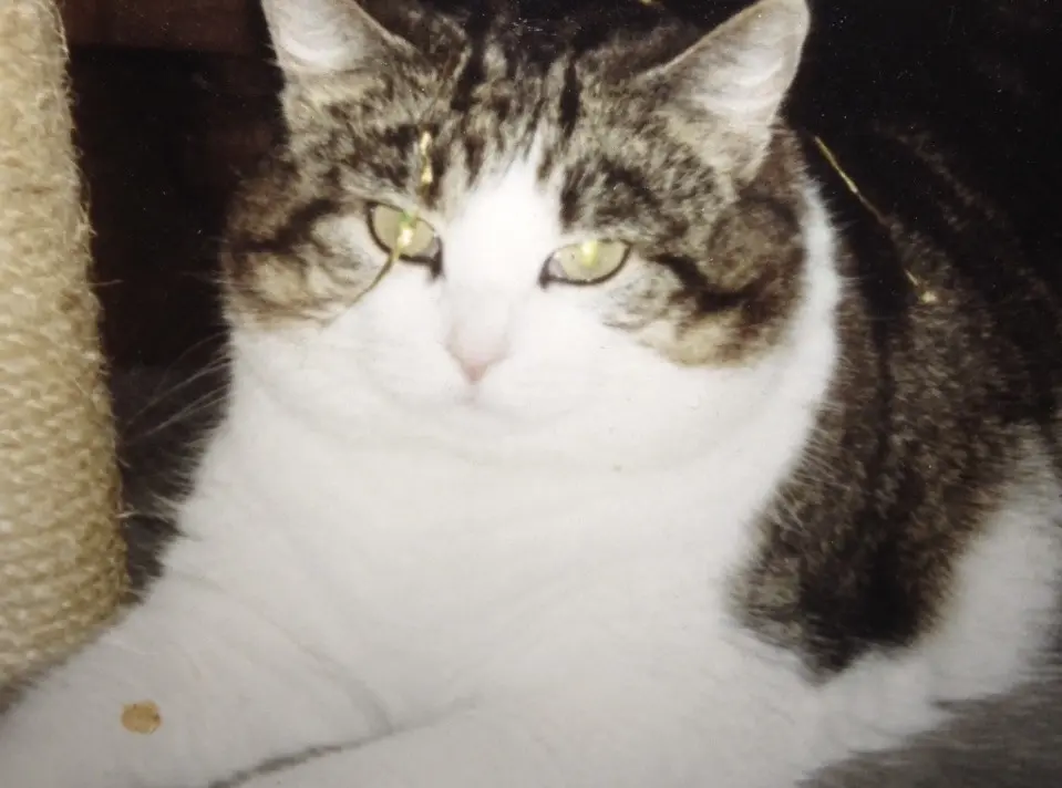 Condolence image of Ute