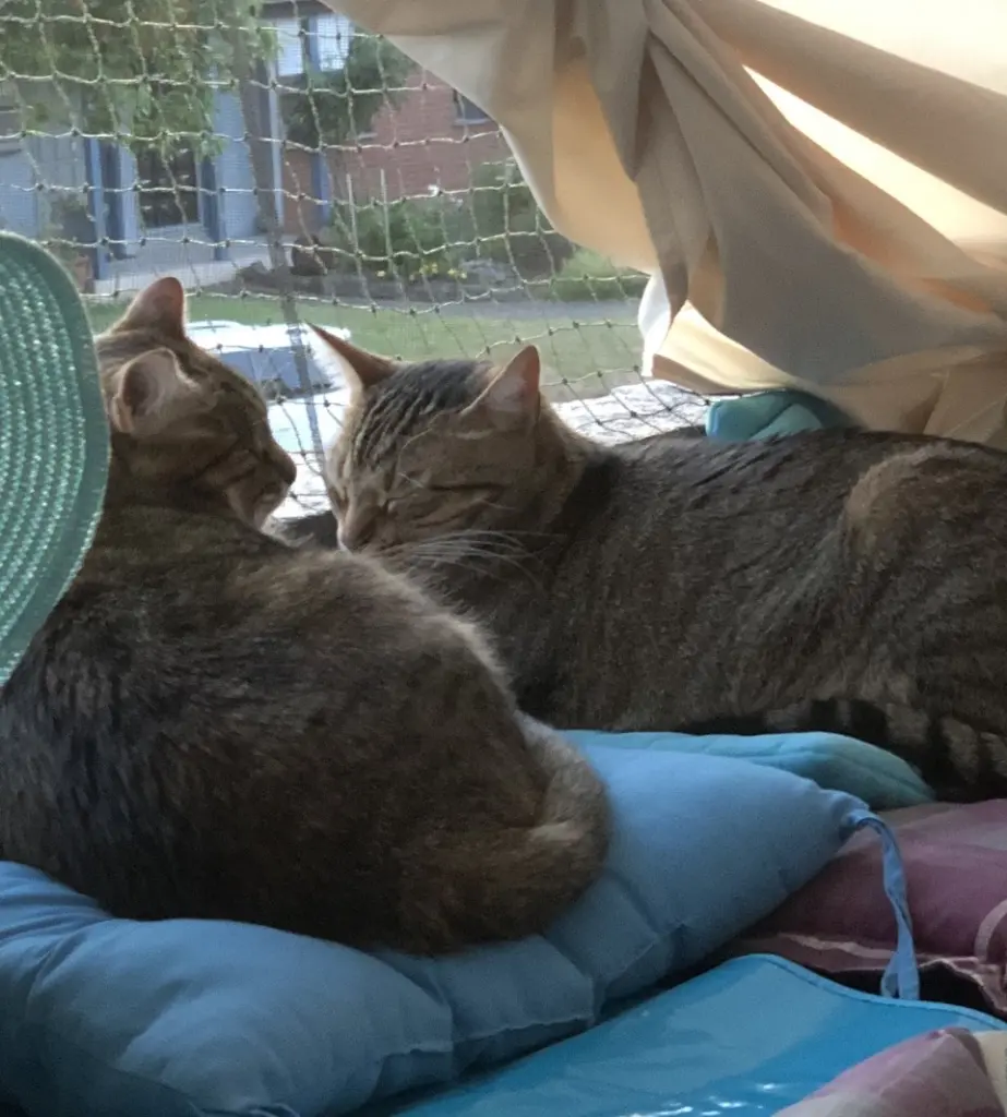 Condolence image of Ute