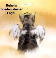 Condolence image of Annemarie und Elke mit Snoopy❤️und Pünktchen ❤️