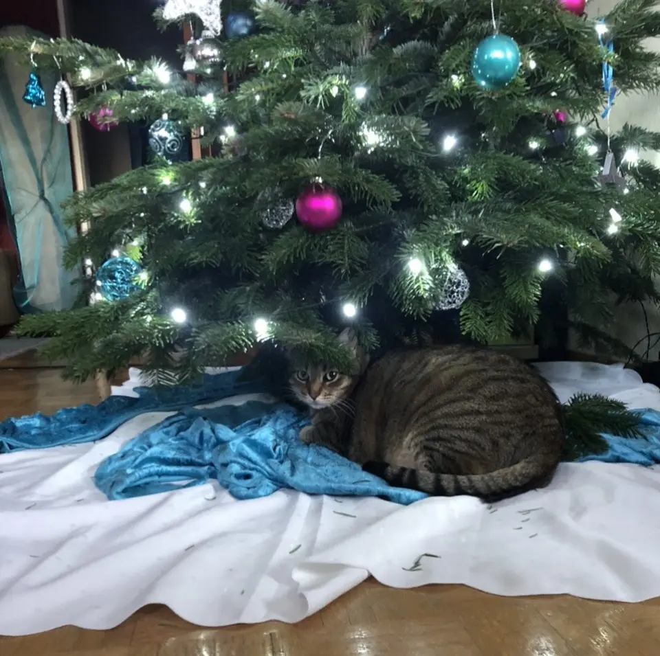 Condolence image of Ute