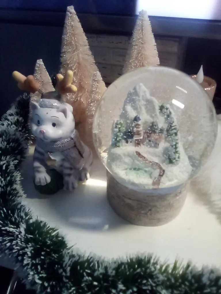 Condolence image of Beate mit Elvis im Herzen ❤