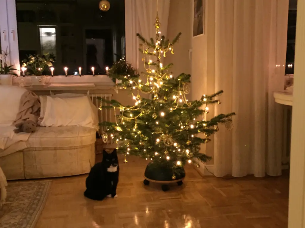 Condolence image of Heide mit Cita im Herzen❤️