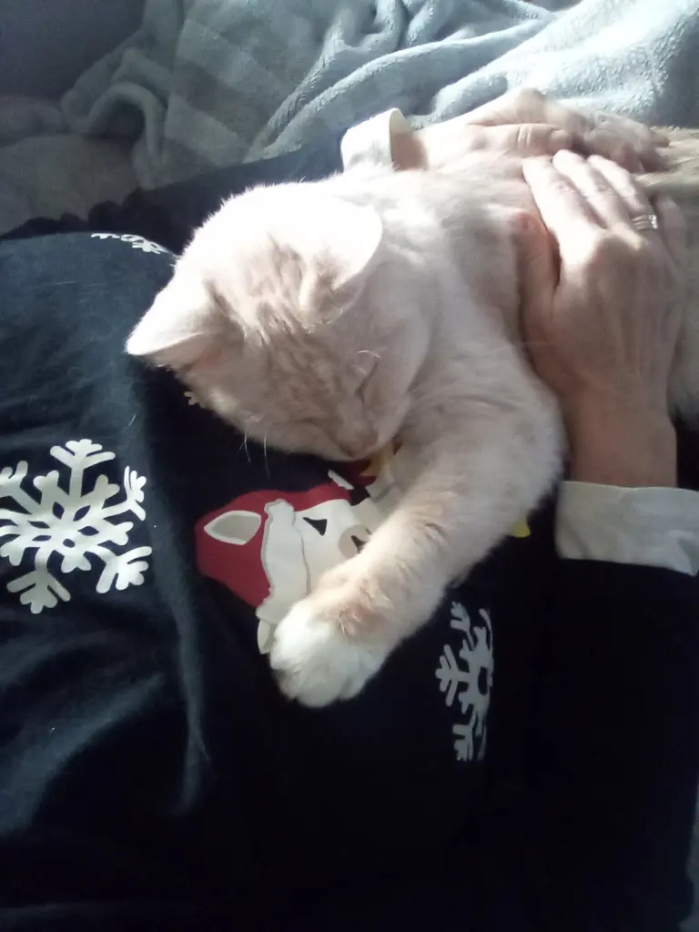 Condolence image of Beate mit Elvis im Herzen ❤