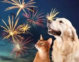 Condolence image of Angelika mit Luna ❤️