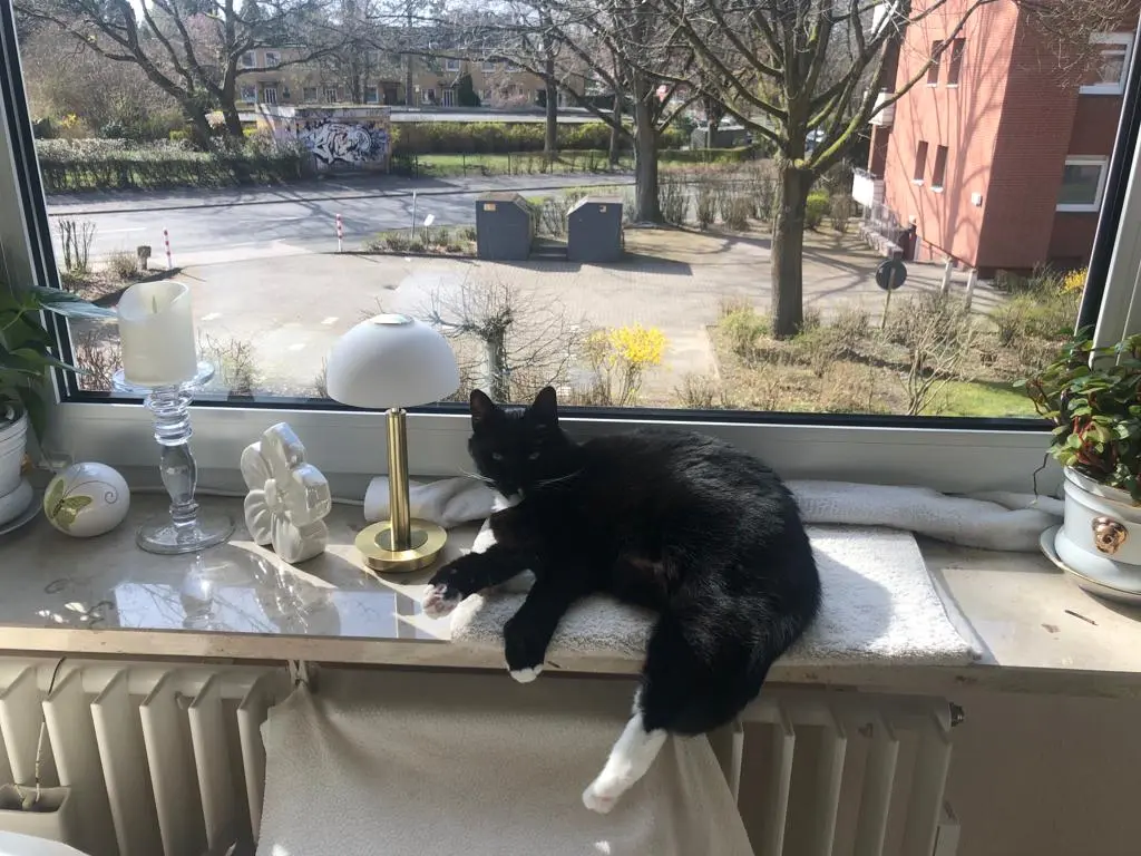 Condolence image of Heide mit Cita im Herzen❤️