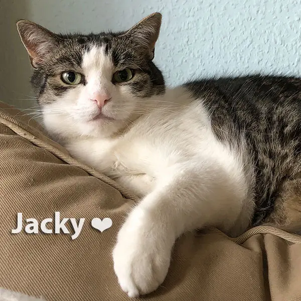 Condolence image of Petra